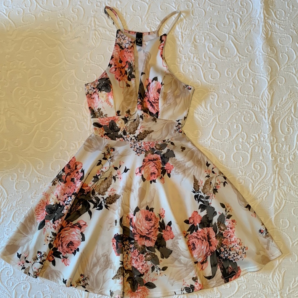 Windsor Skater Dress